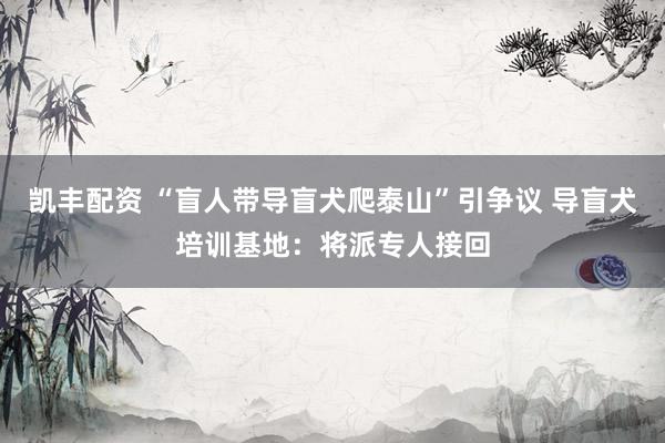 凯丰配资 “盲人带导盲犬爬泰山”引争议 导盲犬培训基地：将派专人接回