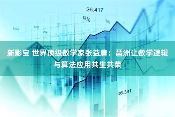 新影宝 世界顶级数学家张益唐：琶洲让数学逻辑与算法应用共生共荣