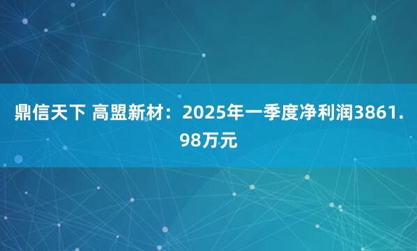 鼎信天下 高盟新材：2025年一季度净利润3861.98万元