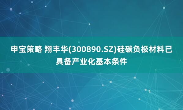 申宝策略 翔丰华(300890.SZ)硅碳负极材料已具备产业化基本条件